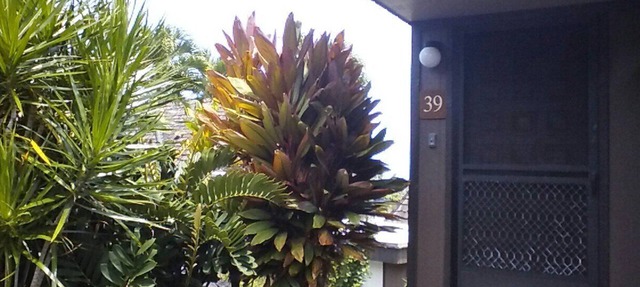 Relaxing Studio Condo Getaway, Minutes From Black Sand Beach *Newly Renovated*