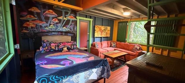 RV in a Rainforest Tree! Fun, Colorful, Magical!