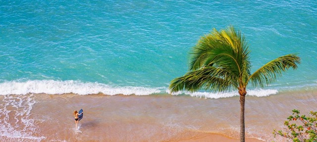 Sands of Kahana Ocean View 3 BR Sleeps 8 Great for Families Complimentary Car with 6 Nights SOK-292 by KBM