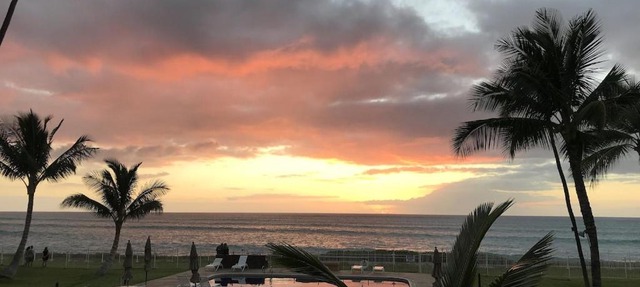 *SERENDIPITY ON THE MOANA - Legal & Oceanfront - Great for Work & Play!*