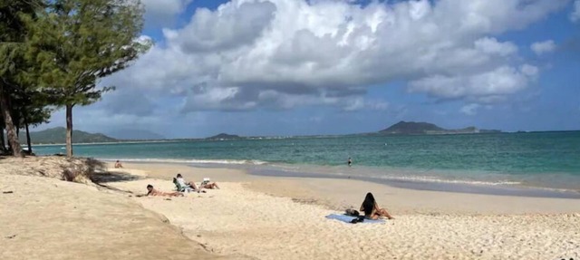 Short walk to Kailua Beach across the street-Quiet AC's-Lg. Kitchen-Patio-Grill