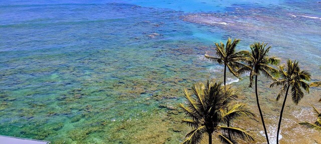 Summer Prices! Diamond Head Gem 1 bdr oceanfront condo, surfing, sunset views.