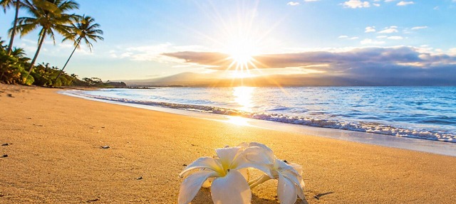 Summer Specials-Luxury Ocean Front Condo Free Wi-Fi. Legal Rental