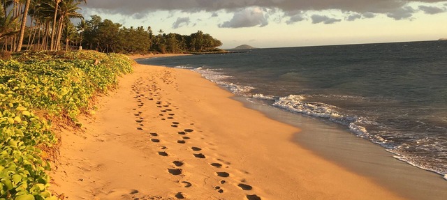 THE BEST KEPT SECRET ON MAUI ! LITTLE PEACE OF PARADISE