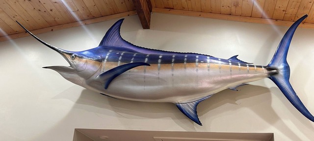 The Marlin house