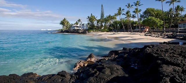 Tropical Escape l 2 Rooms, Beach Access, Free Bikes, Pool & Pet-Friendly Stay
