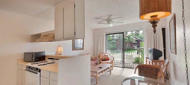Tropical Ocean View w/Lanai, WiFi, Cable TV-#212