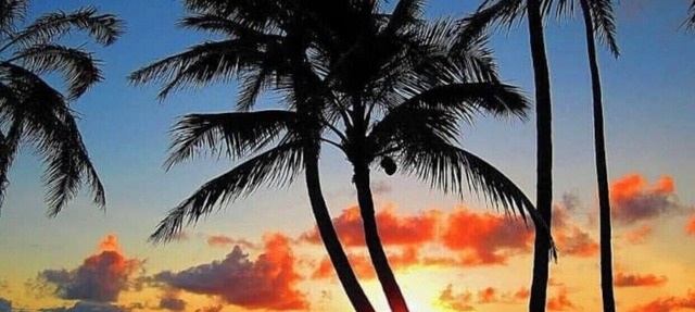 Waikiki studio USD68.00 per day