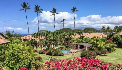 Wailea Ekahi 45D - Ocean & Garden Views, Beautifully Renovated, Split AC, Wi-Fi!