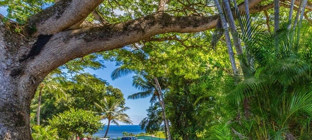 Walk to Beaches, Dining & More in Princeville,Charming Cottage-Like Townhouse