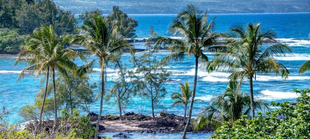Watch the Whales from comfortable penthouse apartment!