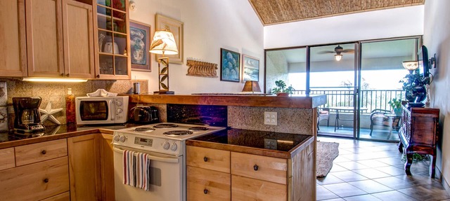 Watch the Whales from comfortable penthouse apartment!