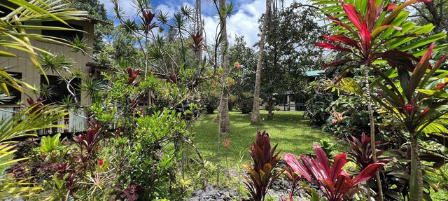 Welcome to the Jungle! A true magical experience for any occasion!