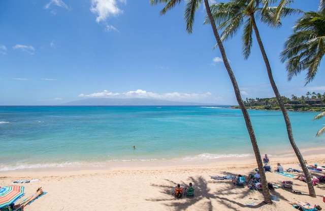 $165/night (8/14-8/31) -Napili Bay Steps from Ocean! Nb204 - Sullivan