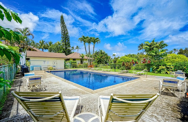 2nd floor studio with shared pool, fast WiFi, washer/dryer, and mountain view