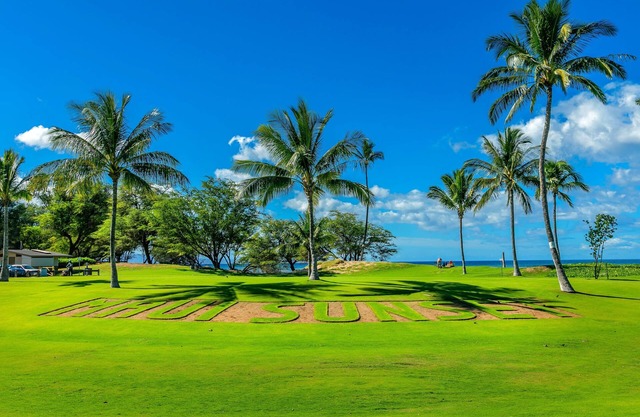 AUG-OCT Value, Kihei Oceanfront Complex, AC, 1st Fl, Remodeled, Walk to beach
