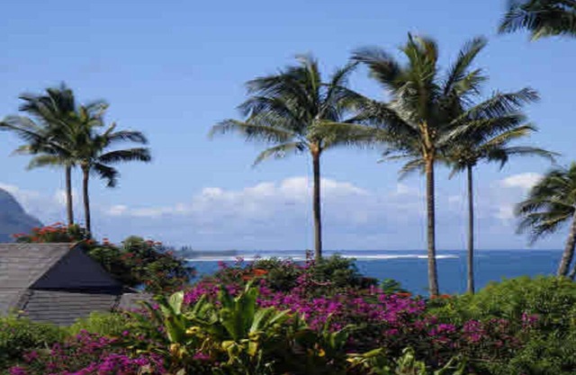 Experience the Island Paradise of Kauai's North Shore from above the Treetops.