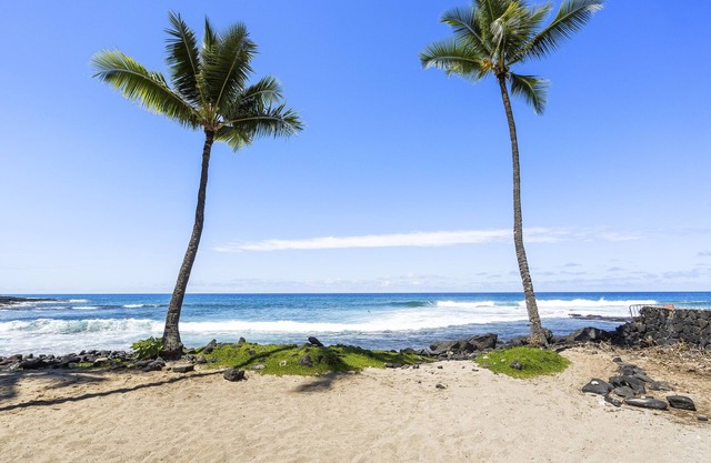 Exquisite Sunset & Renovated Oceanview Condo - 10% Discount on 7 day booking