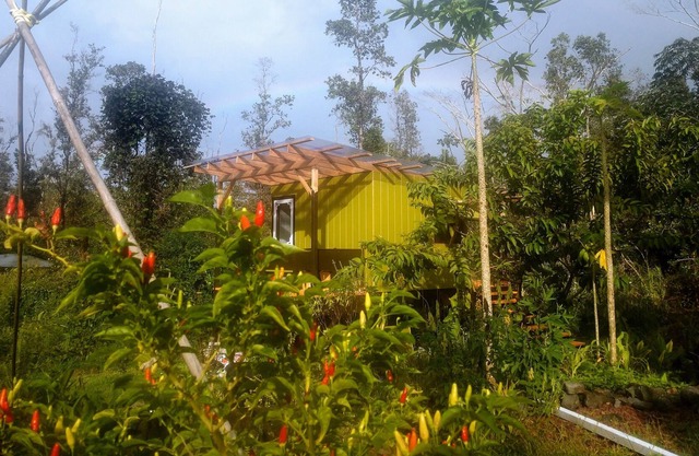 Faris' Forest