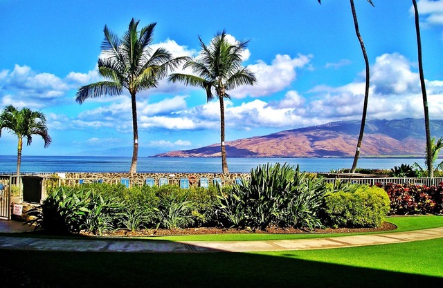 Gorgeous Oceanfront Condo Steps From The Beach, Air Conditioned, Free Wi-Fi