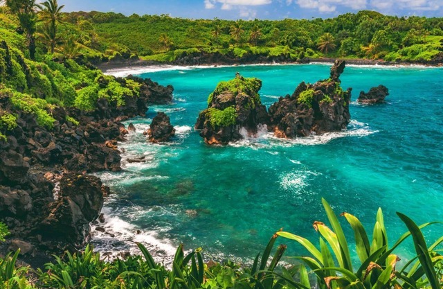 Have Fun in Hawaii! 4 Family-friendly Units, Pool, Pets are Welcome!