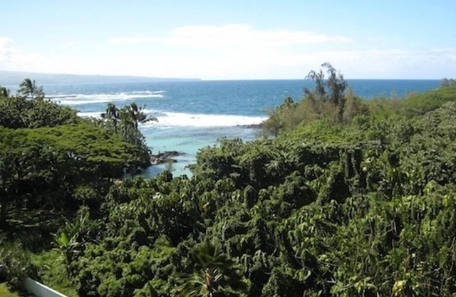 Honu Penthouse 2brm Spectacular Views. Swim with Sea Turtles