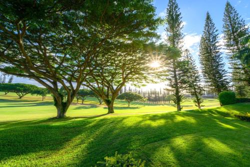 KBM Resorts FREE CAR Kapalua Golf Villa Golf Course view 2-Bedroom Condo KGV-14P6
