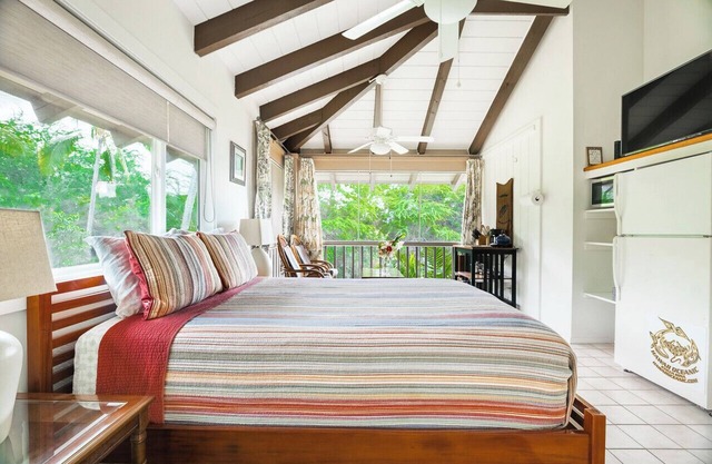 Kona coast, Aug low rates Ocean side view Free HSWIFI walk to Magics & Kahalu'u