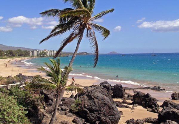 Maui Vista Vacation Condo