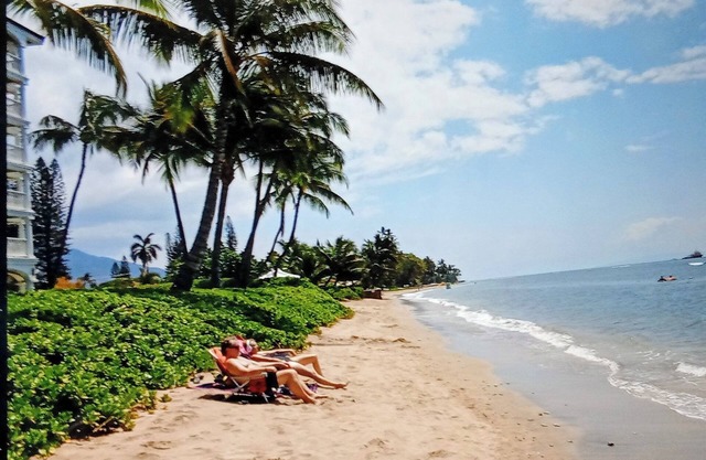 Nov 16-Dec 15n269/day OCEANFRONT walkout 1bdrm 2ba sleeps 4, pool, lawn & beach.