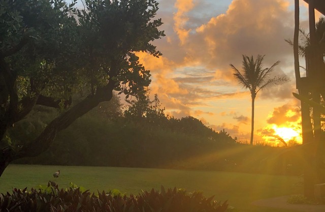 Ocean view 2 bedroom centrally located condo. Steps from the ocean!