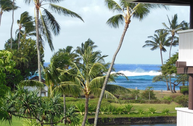 Ocean View End Unit Air Conditioning /Unit #239 bldg 36 .3 min.walk to beach.