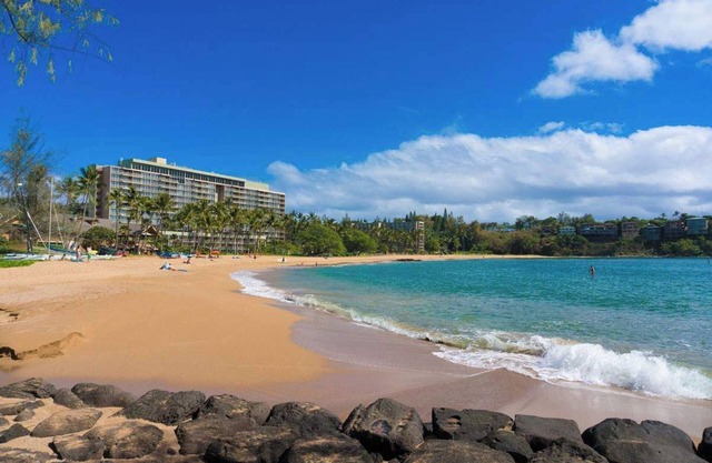 Oceanfront Paradise | One Block to the Beach!