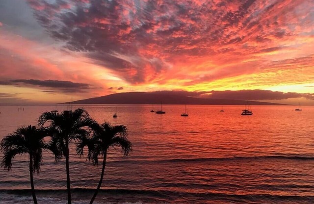 Perfect location and Unbelievable Views at Lahaina Roads