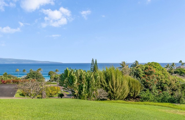 September Deal $250/night-Kapalua Oasis, ac, Ocean views-R414-Sullivan