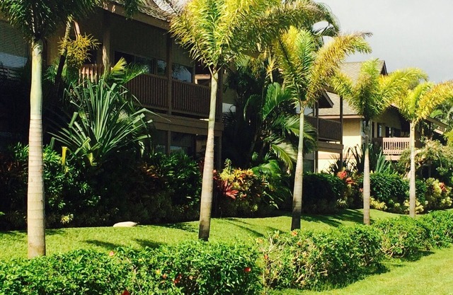 Studio in Princeville on Kauai's North Shore