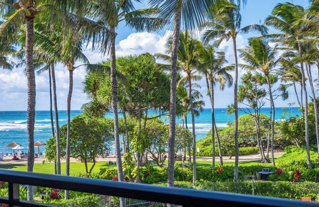 Villa 309: Fall REDUCED 50%! Penthouse Lvl Ocean View Turtle Bay