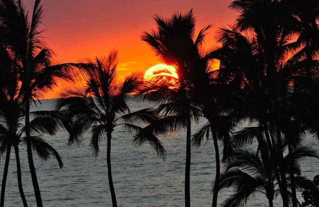 Wailea, Maui, #207 Full AC, 1st FL Expansive Lanai Salt H20 Pool & Walk to Beach