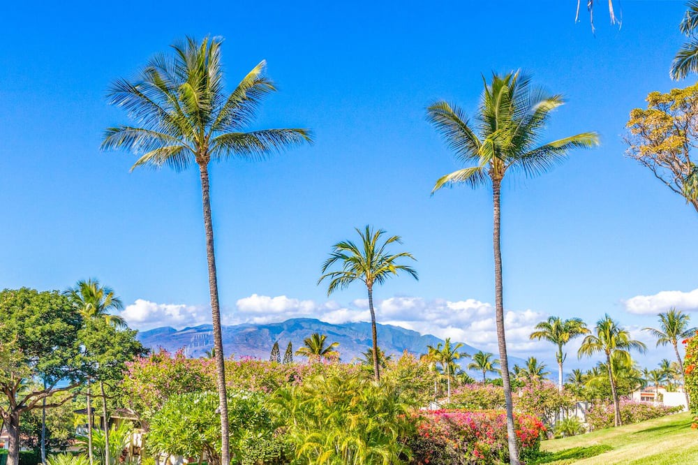 Wailea Condo | Spacious 2 bedroom 2 bath Palms at Wailea 1703
