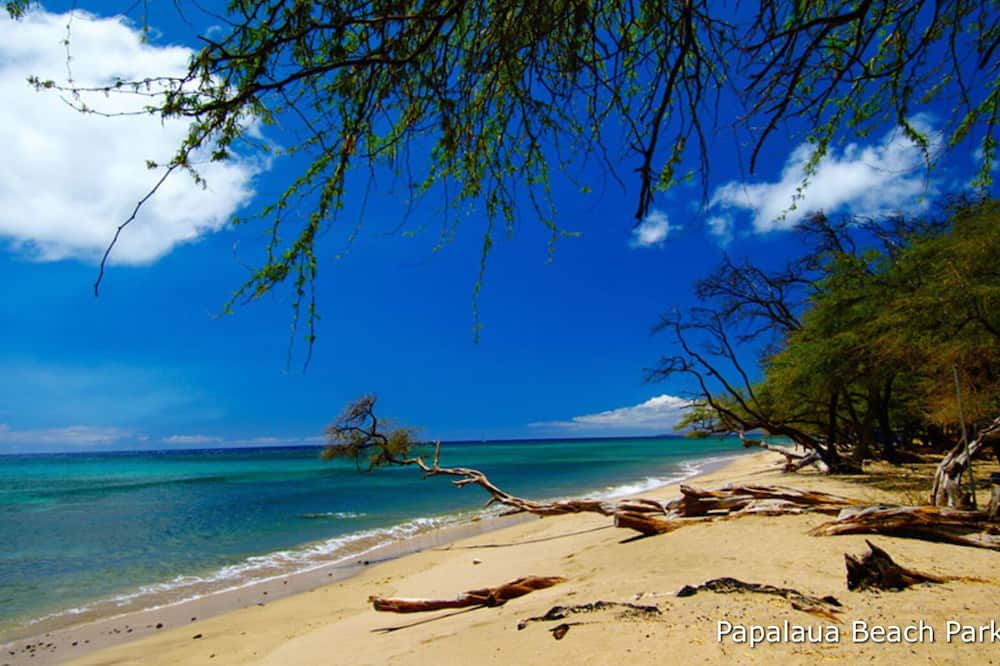 Pauwela House | Embark on a journey through Maui with Aloha Glamp
