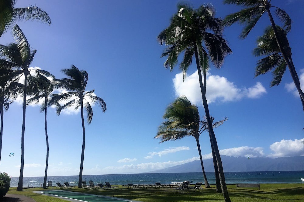 Honokowai Condo | Paradise found, only 50 feet from the ocean!