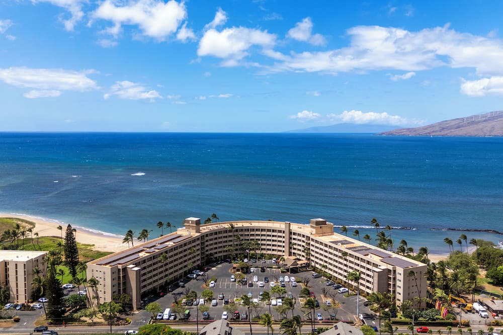 Kihei Condo | Relaxation at Its Finest: Beachfront 1bd/1ba Condo - Menehune Shores #517