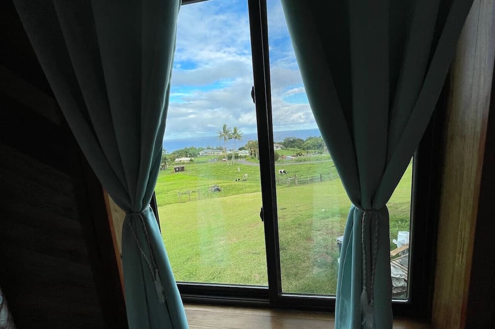 Hilo Apartment | Magic Skies Main Level Living