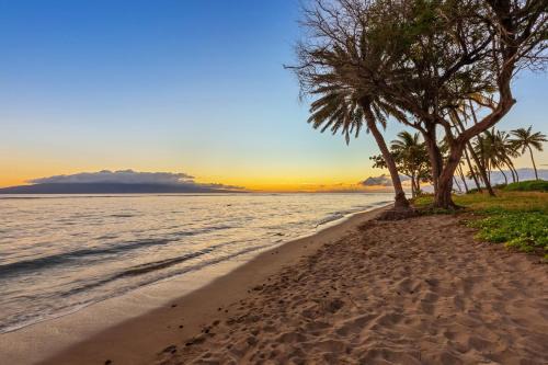 Historic Lahaina Front Street Apartment | Lahaina Shores Beach Resort 608