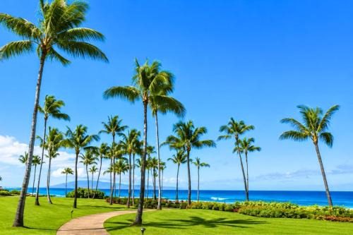 Montage Kapalua Bay Apartment | The Resort at Kapalua Bay Oceanfront 3 BR Luxury Resort Living Complimentary Car with 6 Nights MON-2204 by KBM