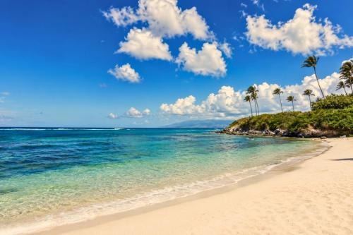 Montage Kapalua Bay Apartment | The Resort at Kapalua Bay Ocean View 3 BR Luxury Resort Living Complimentary Car with 6 Nights MON-2604 by KBM