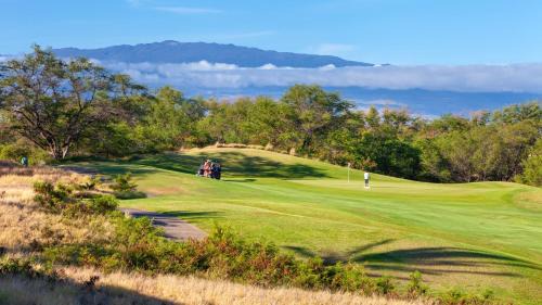 Kamuela Apartment | ❤PiH❤ Mauna Kea Palms Ocean Views Stunning Mauna Kea Resort Best Beaches