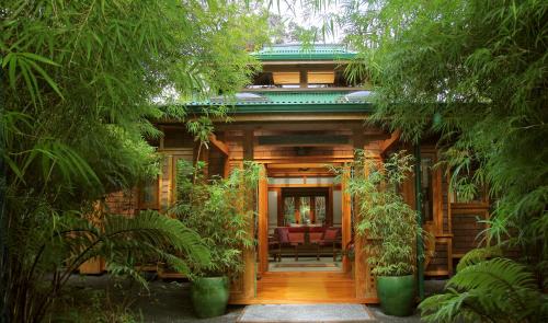 Volcano Bed & Breakfast | Volcano Rainforest Retreat