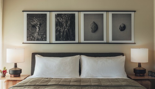 Room, 1 King Bed