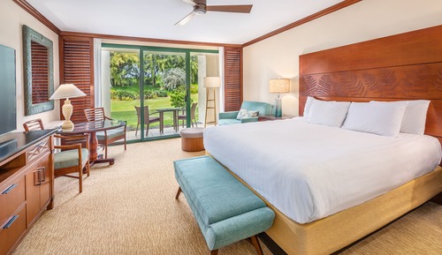 Room, 1 King Bed